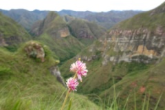 Andes near Samaipata